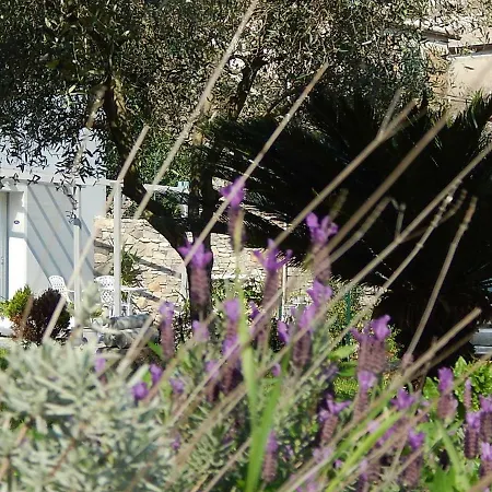 Bed & Breakfast Pie Del Castello