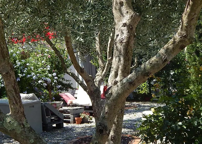 Pie Del Castello Λεβάντο