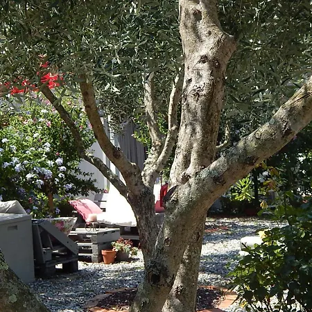 Pie Del Castello レヴァント