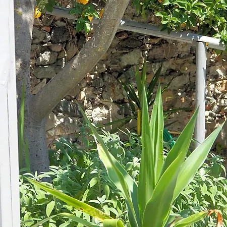 Bed and breakfast Pie Del Castello Levanto